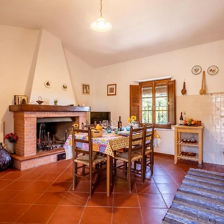 Santa Maria Albiano Al Giardino Degli Ulivi 게스트하우스 외부 사진