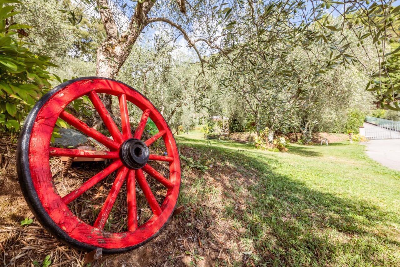 Santa Maria Albiano Al Giardino Degli Ulivi 게스트하우스 외부 사진
