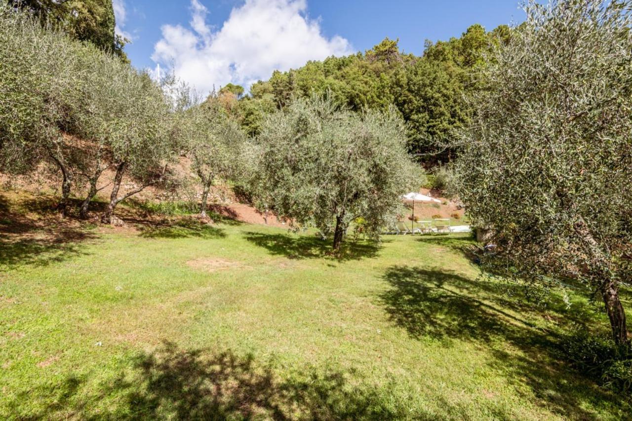 Santa Maria Albiano Al Giardino Degli Ulivi 게스트하우스 외부 사진
