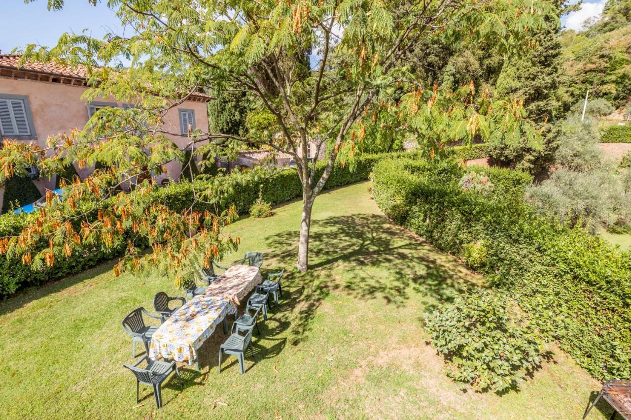 Santa Maria Albiano Al Giardino Degli Ulivi 게스트하우스 외부 사진